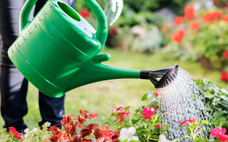 Watering onto plants