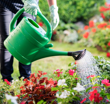 Watering onto plants