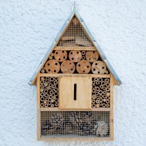 Insect & Bug Houses