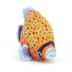 Fishiful Orange